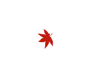 Virtual Reality Smiled